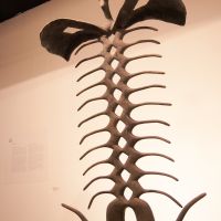 20121124 13 44 12 Giro SP-57